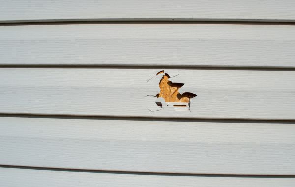 Siding Hole Repair in Bloomington